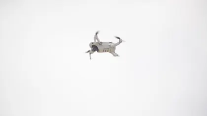 CoolPlay Casino Farsímaforrit